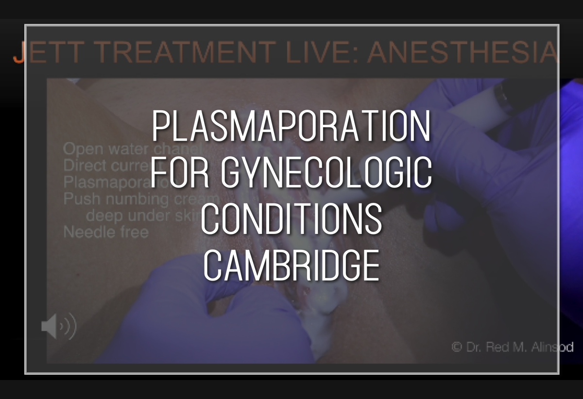 Labiaplasty Hybrid